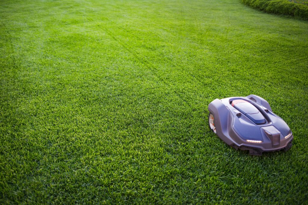 automatic lawnmower robot mower on grass, lawn. view of the large mowed lawn. copy space.