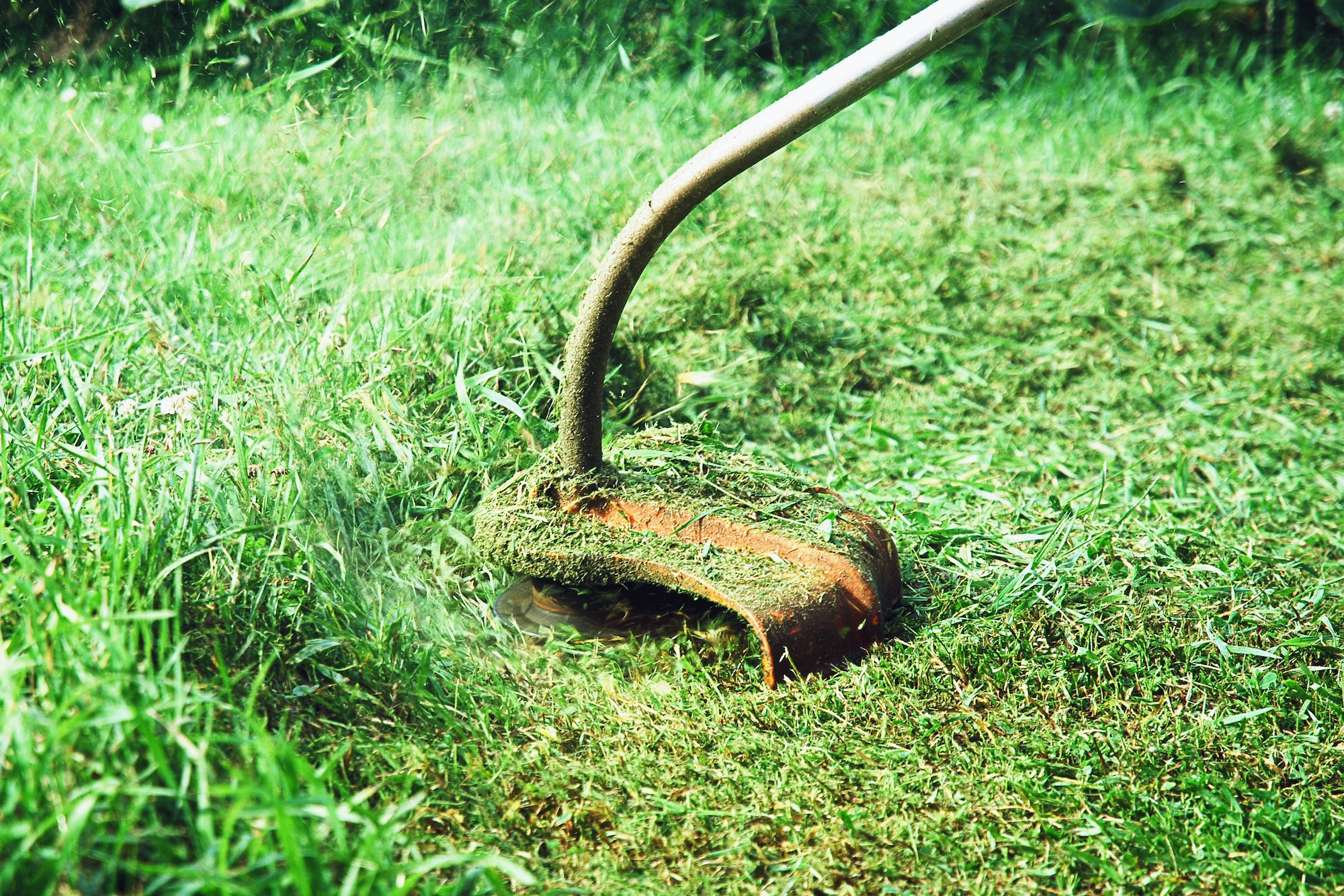 Le désherbeur thermique : une solution écologique pour un jardin propre