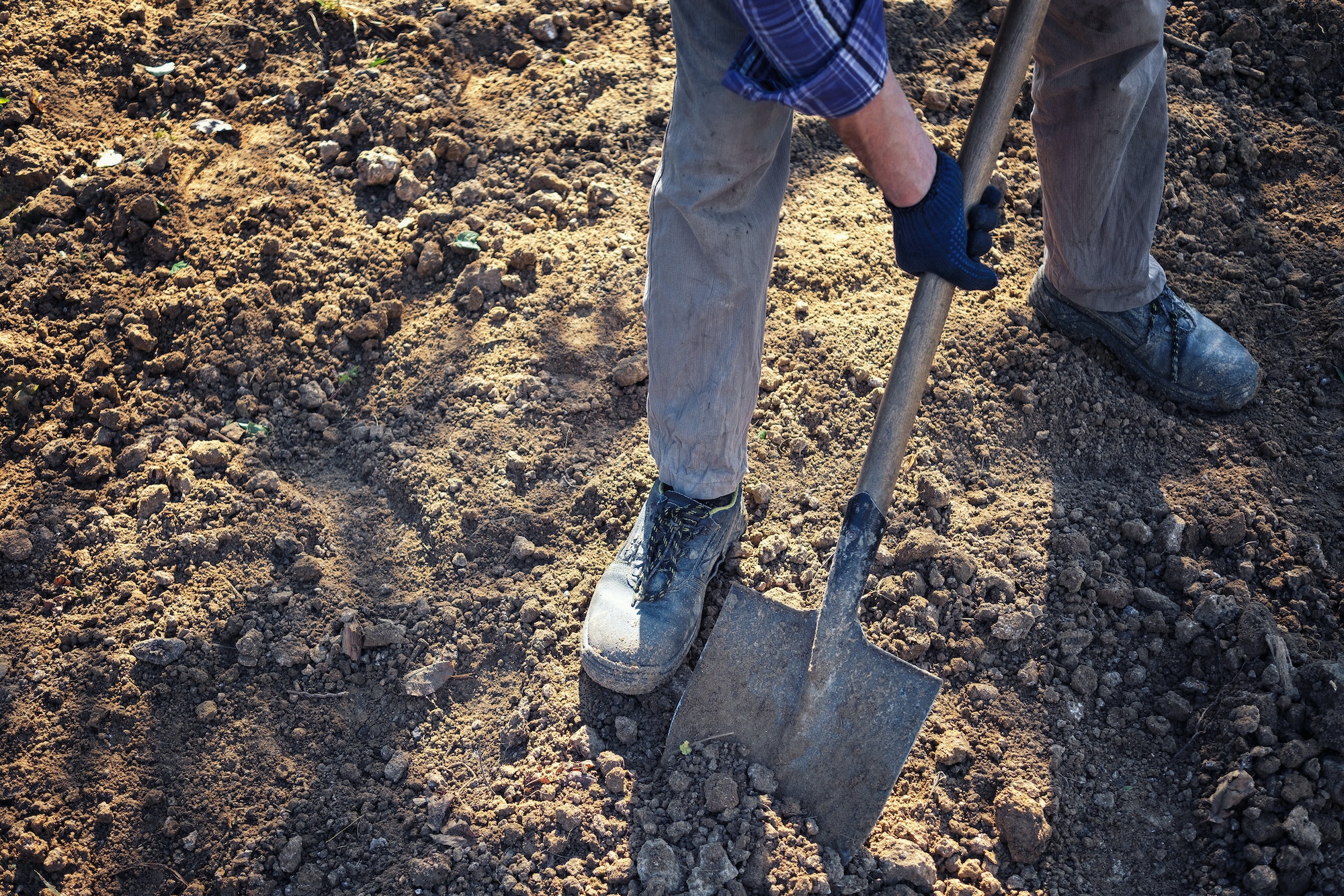 L’importance de la fourche à bêcher pour l’aération du sol