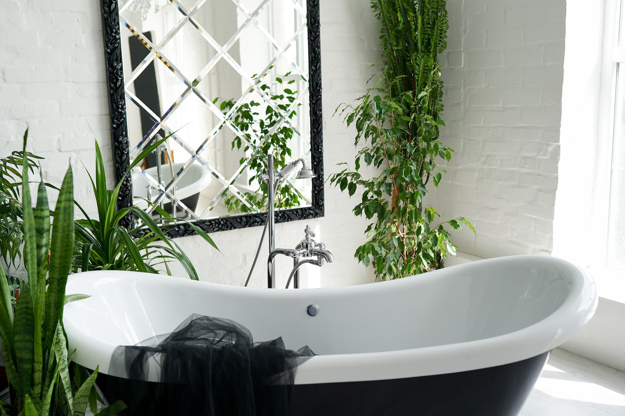 Le rôle des plantes dans une décoration de luxe