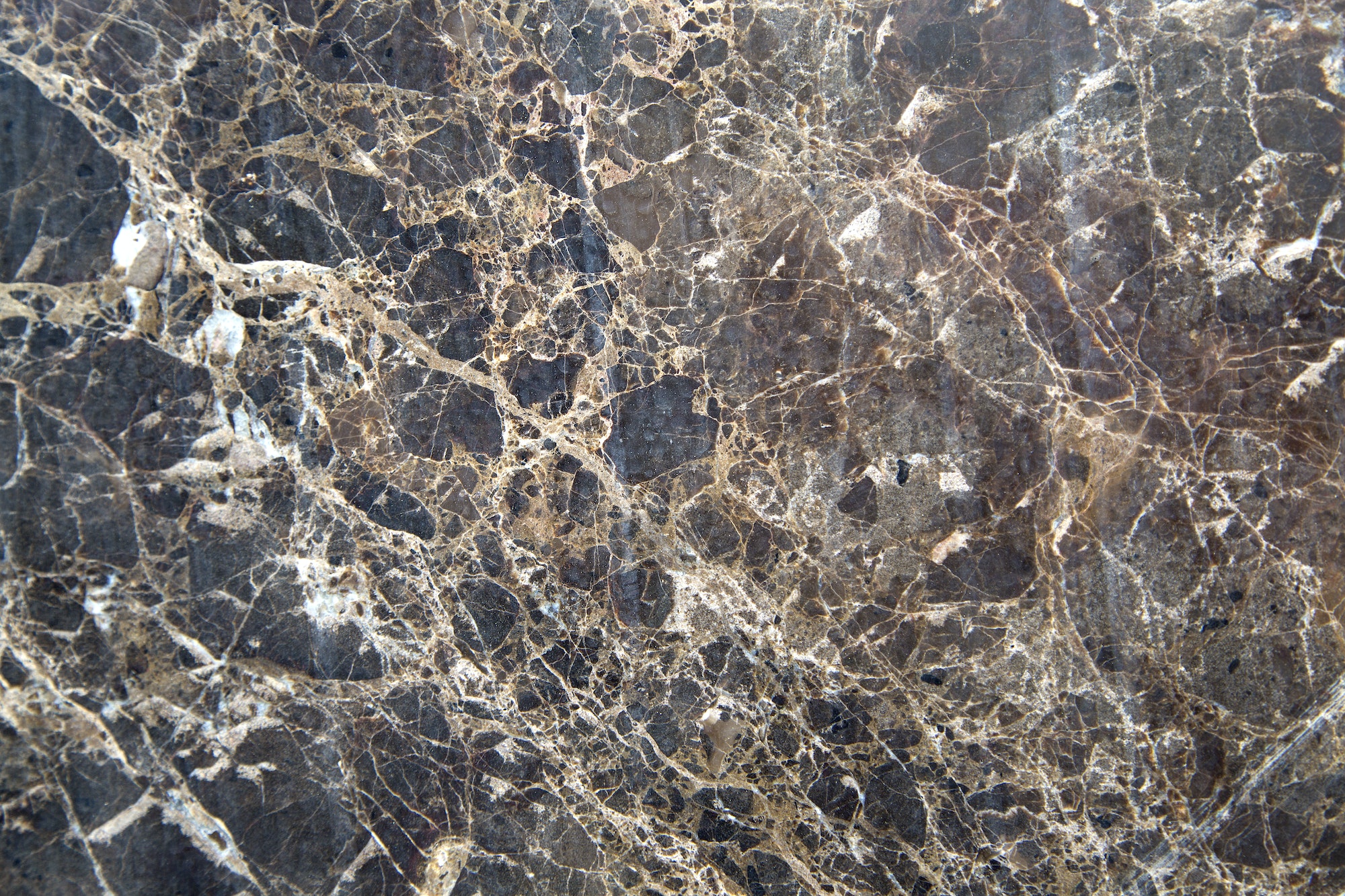 Le marbre dans la décoration : un choix de luxe